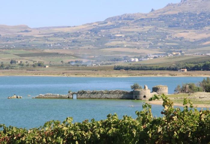 Immagine 2024-08-08 183715