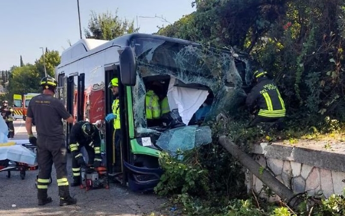 Immagine 2024-08-15 130224