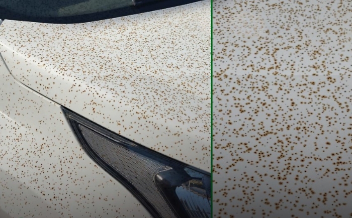 Immagine 2024-08-26 195203