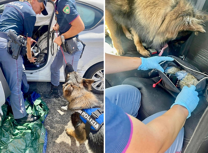 SCOPERTI NUMEROSI NASCONDIGLI DEGLI SPACCIATORI OLTRE 1500 DOSI E 4 KG DI STUPEFACENTI SEQUESTRATI GRAZIE AI CANI DELLA POLIZIA DI STATO (2)