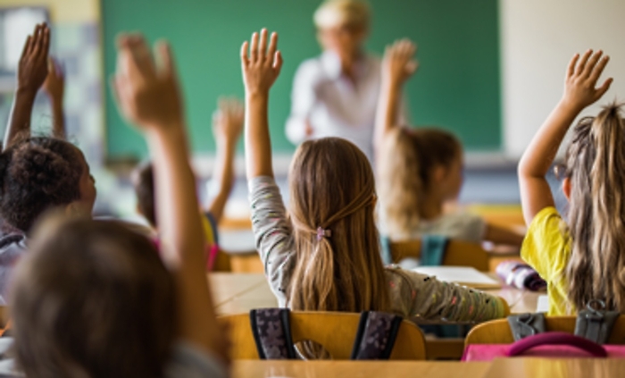 Scuola alunni di spalle web (1)