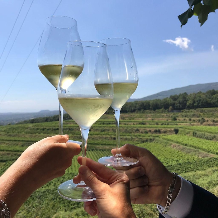 VINIMILO_foto archivio 6