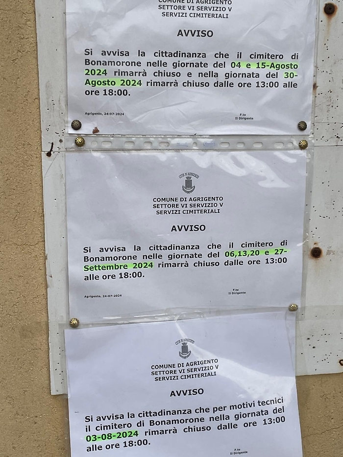 WhatsApp Image 2024-08-03 at 17.59.48 (1)