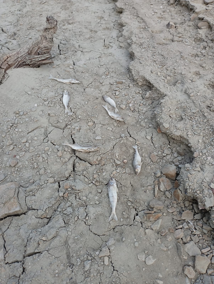 WhatsApp Image 2024-08-05 at 08.35.00 (2)