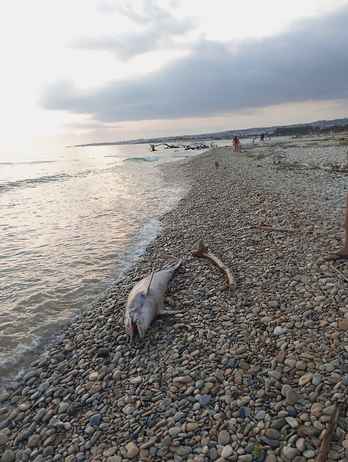 WhatsApp Image 2024-08-06 at 19.28.55