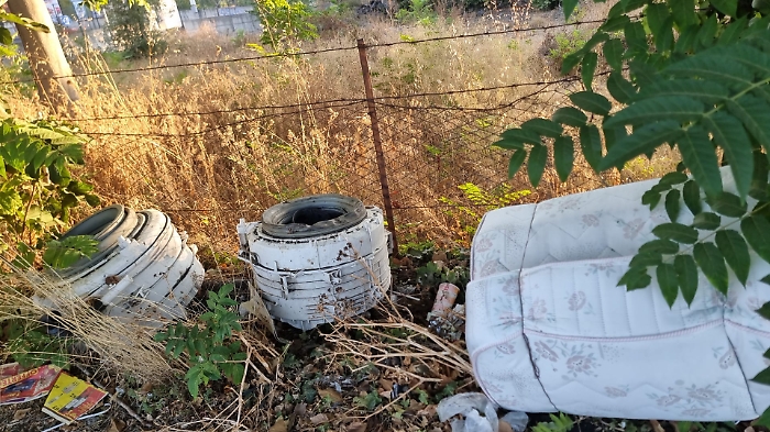 WhatsApp Image 2024-08-12 at 12.26.48 (1)