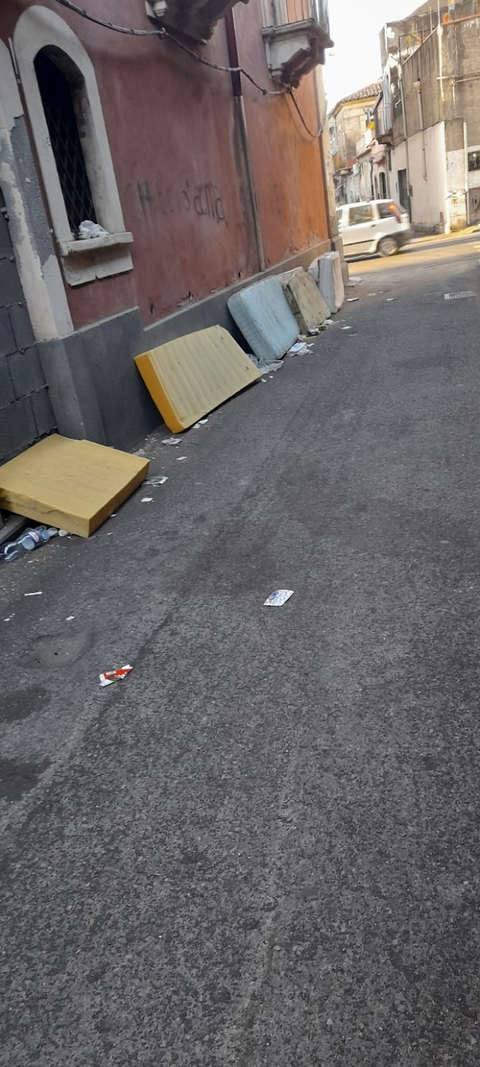 WhatsApp Image 2024-08-22 at 15.35.04