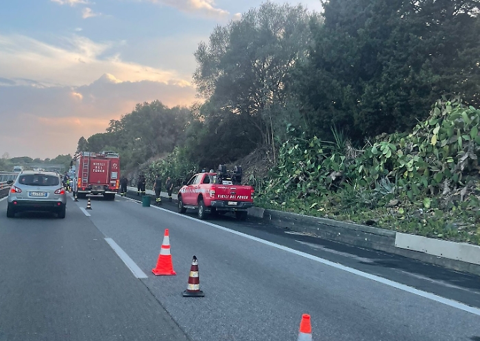 WhatsApp Image 2024-08-25 at 19.37.19