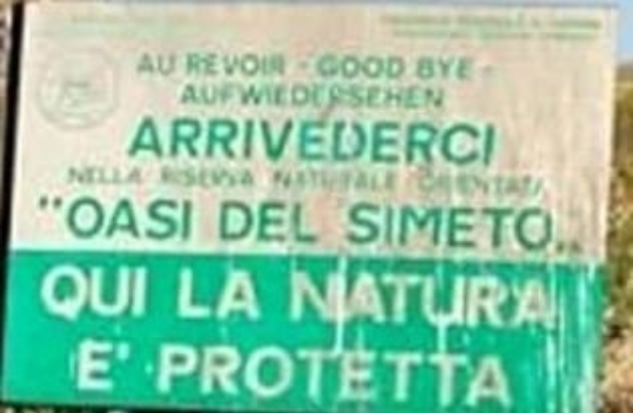 WhatsApp Image 2024-08-26 at 00.17.27