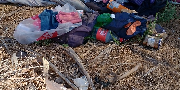 WhatsApp Image 2024-08-26 at 10.16.00