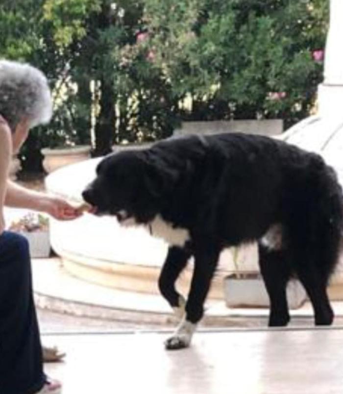 WhatsApp Image 2024-08-26 at 19.48.33