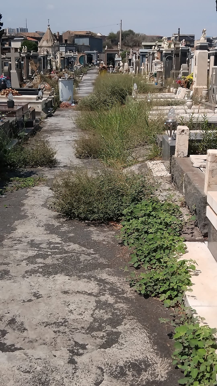 WhatsApp Image 2024-08-28 at 16.58.05