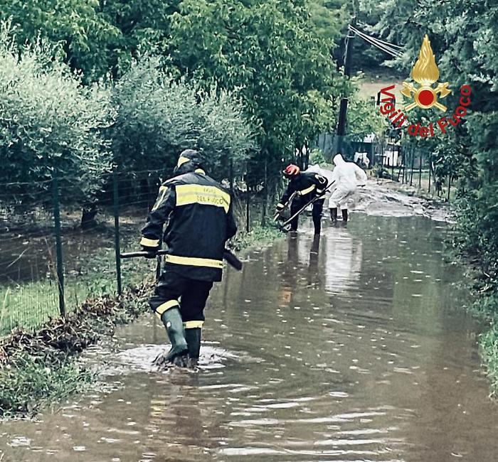 WhatsApp Image 2024-08-28 at 19.36.20