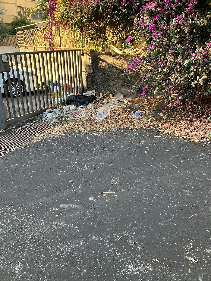 b855677f-d825-466f-854b-90e90dc615de