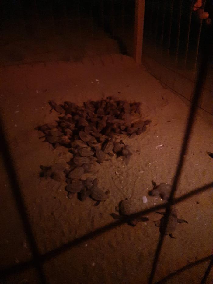 be2f8b95-6404-4739-9990-3faf9f07bc8c