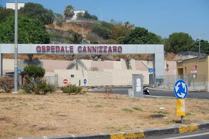 d874c5562fce88d5316730c0195156de