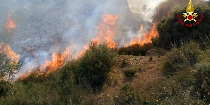 incendio-macchia-mediterranea-970x485-1