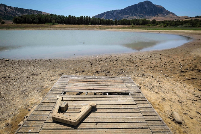 zermo_20240807142042239_5579537d43e052f93566928dab53b6b1