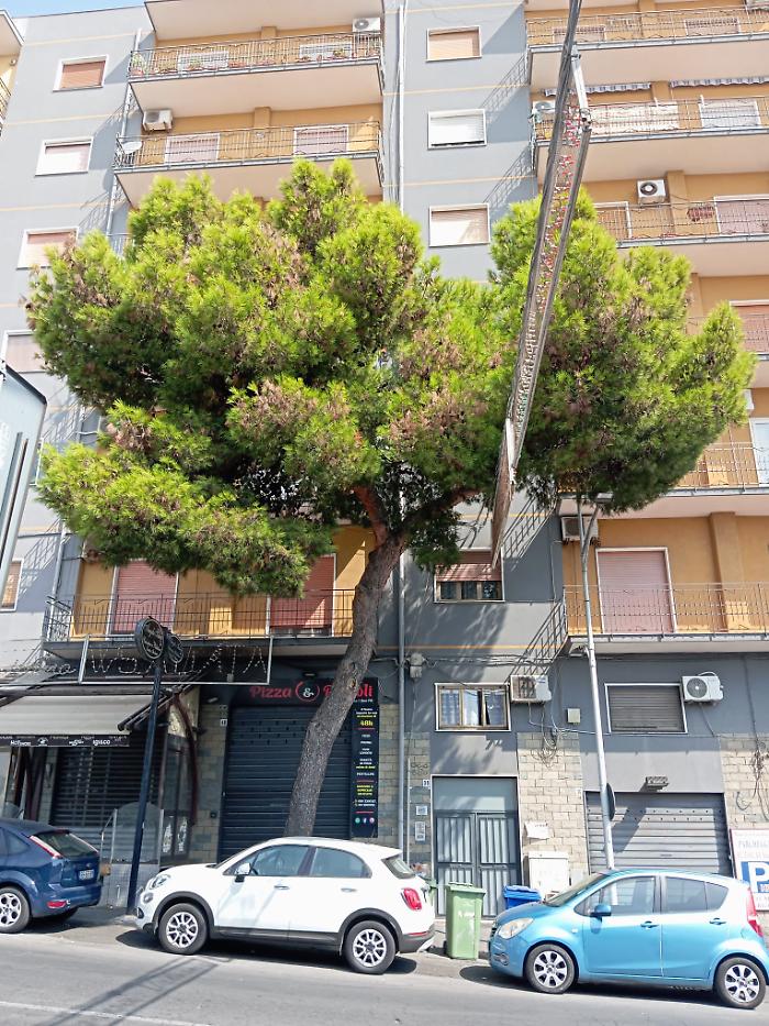 139586aa-30ab-4092-9325-193e35c43017