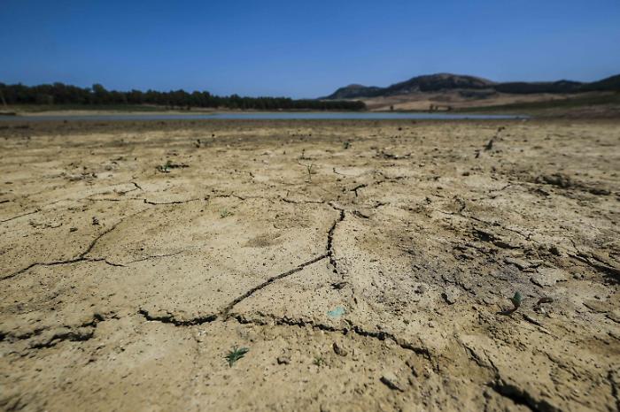 1727706025_ad96574ca8d6c2b78406