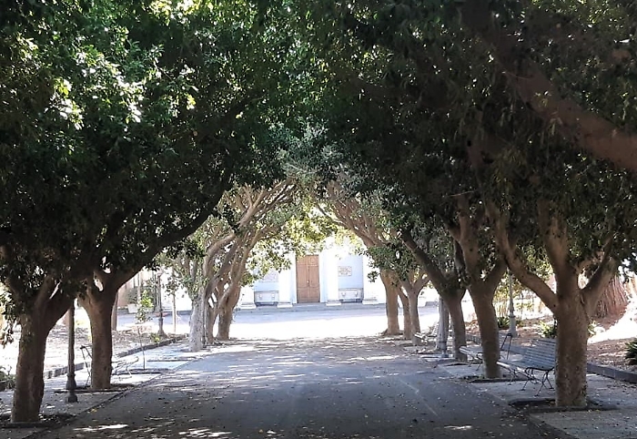 231963642_2047992558672717_245740580808115941_n