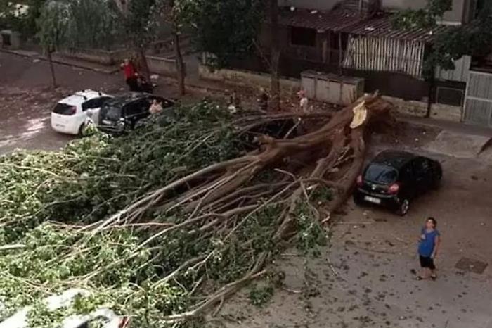 3fa92a3919dd7ded750d8cd4dff3bfa0