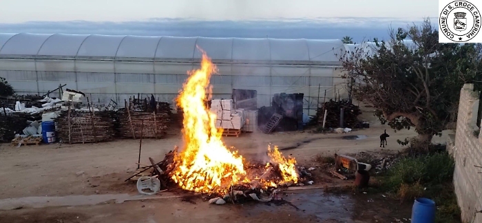 461298769_494501540061811_4571868784061789196_n