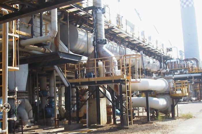 Immagine 2024-09-12 173951