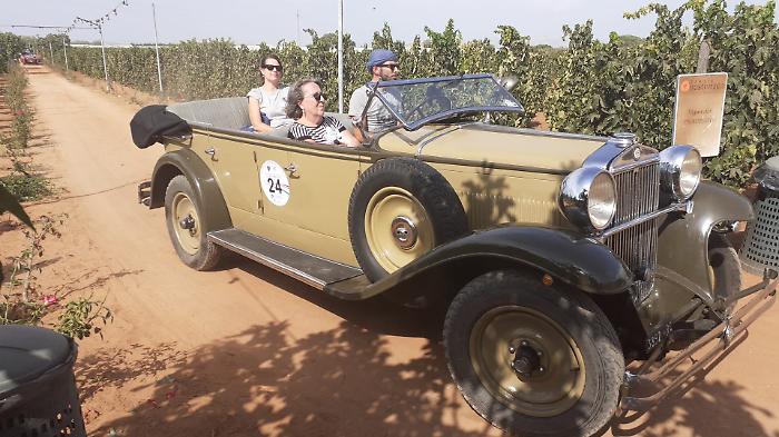 Le auto d'epoca tra i filari di viti