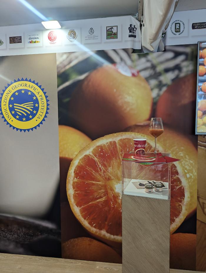 PXL_20240923_153404919.MP