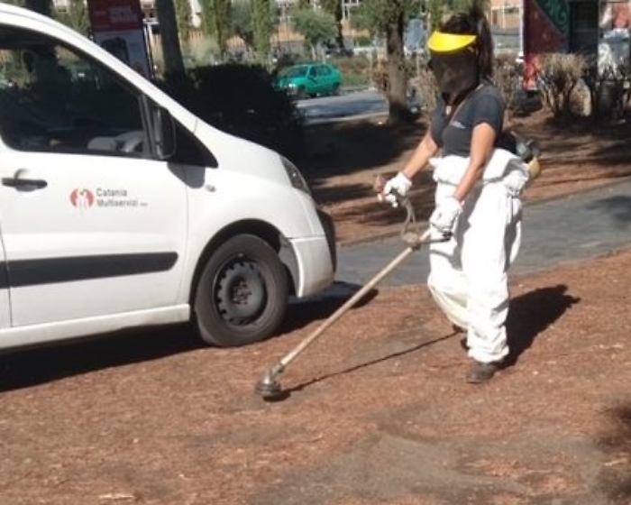 Pulizia aree verdi a Catania