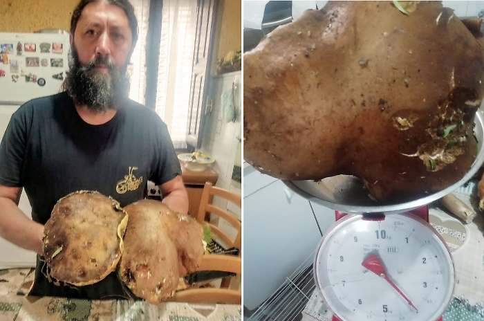 WhatsApp Image 2024-09-04 at 15.42.06 (1)