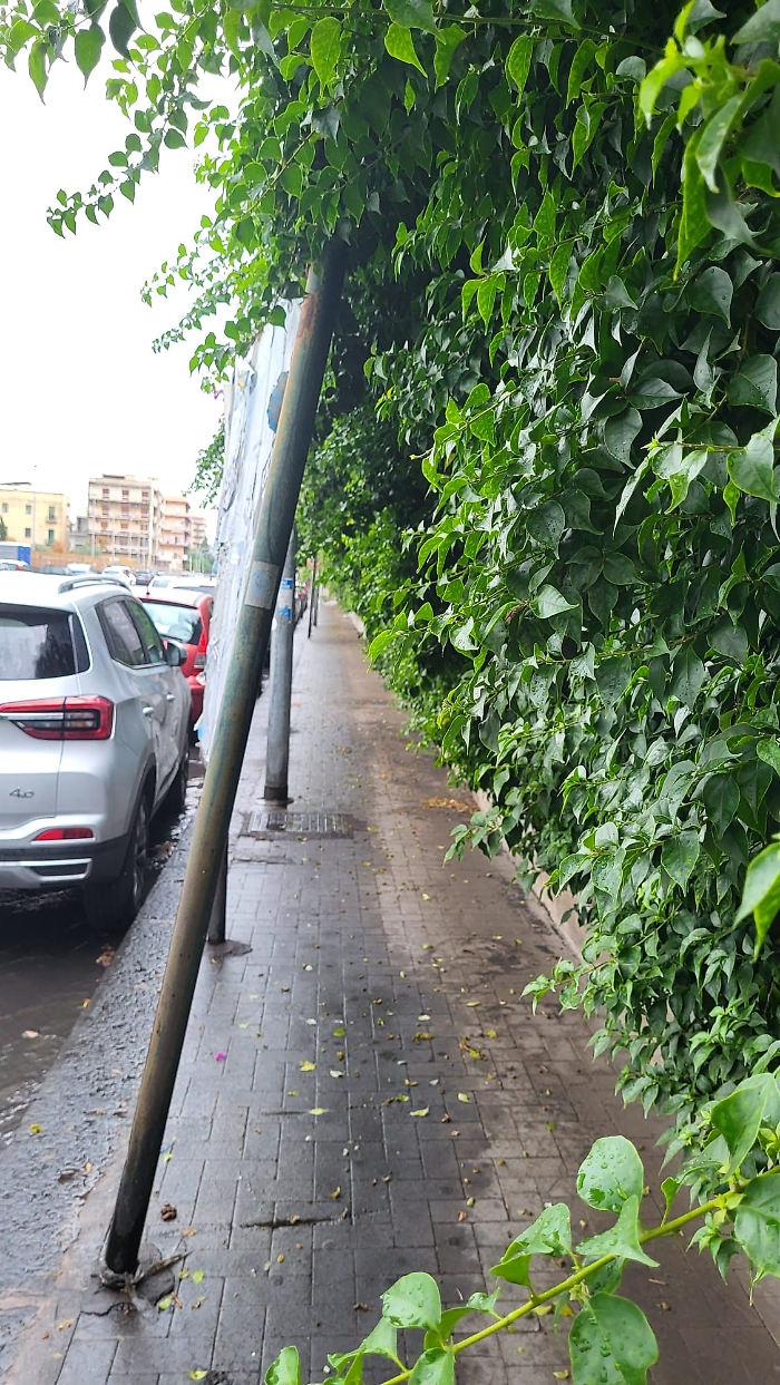 WhatsApp Image 2024-09-12 at 16.49.21