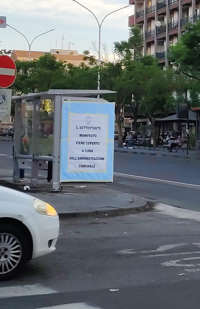 WhatsApp Image 2024-09-17 at 07.38.22