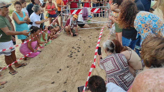 WhatsApp Image 2024-09-21 at 18.22.34