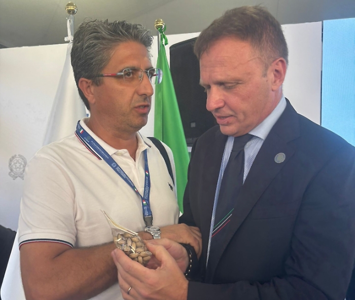 WhatsApp Image 2024-09-29 at 18.31.47