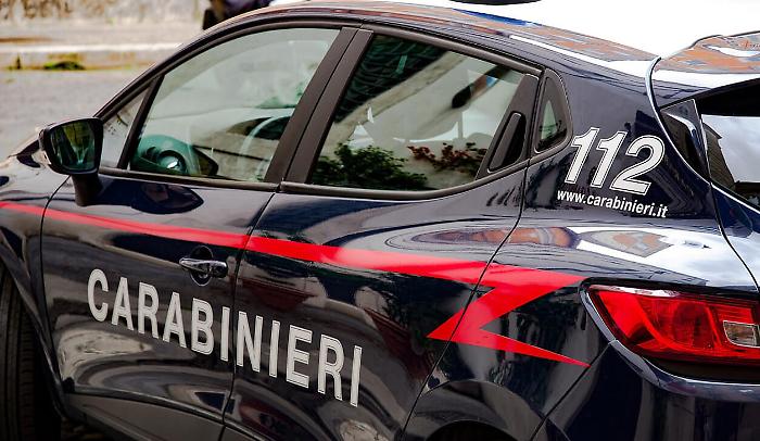 Muore sbranato da due rottweiler mentre raccoglieva frutta: la tragedia in Salento