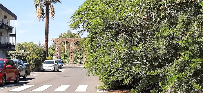 il verde sta quasi ostruendo la carreggiata e la siepe, che scende lungo un muro di contenimento, &egrave; provvista di spine lunghe 10 cm. Per evitare sfreggi e ferite a qualcuno o incidenti automobilistici, sarebbe urge