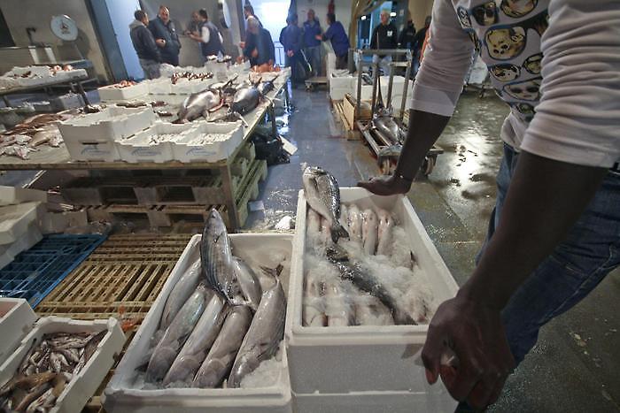 LAVORO:NAPOLI;VIA MERCATO PESCE;AZIENDE,A RISCHIO 500 POSTI