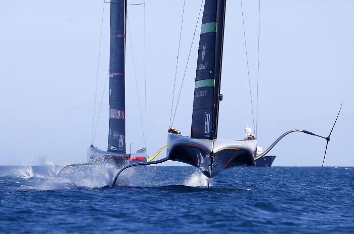 Immagine 2024-10-01 151929