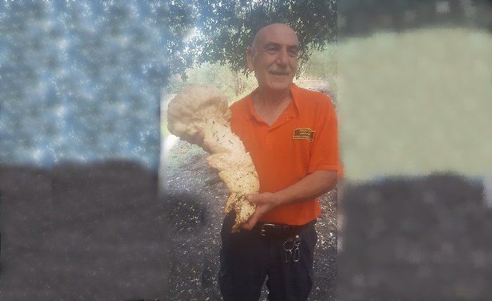 Immagine 2024-10-01 153037