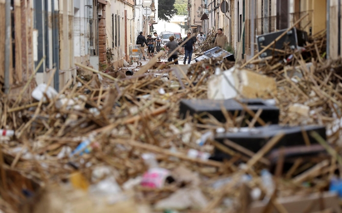 Immagine 2024-10-31 083028