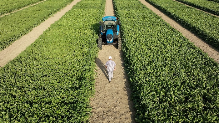 ItaliaZuccheri_campagna