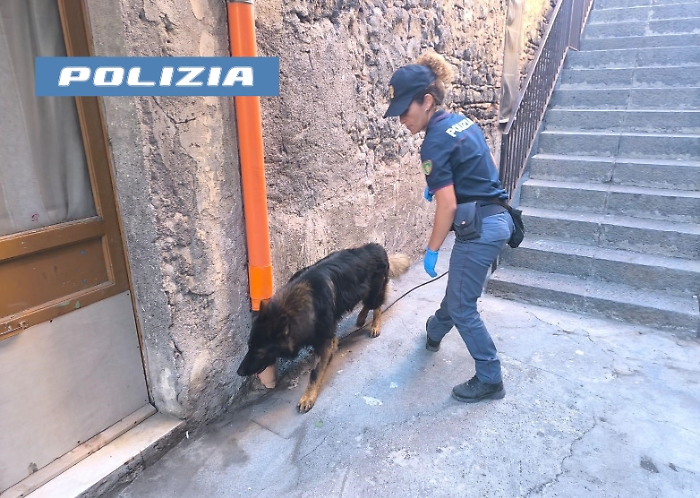 NASCONDE LA DROGA NEL GARAGE MA &ldquo;MAUI&rdquo; LA FIUTA &ndash; DENUNCIATO SPACCIATORE DALLA POLIZIA DI STATO