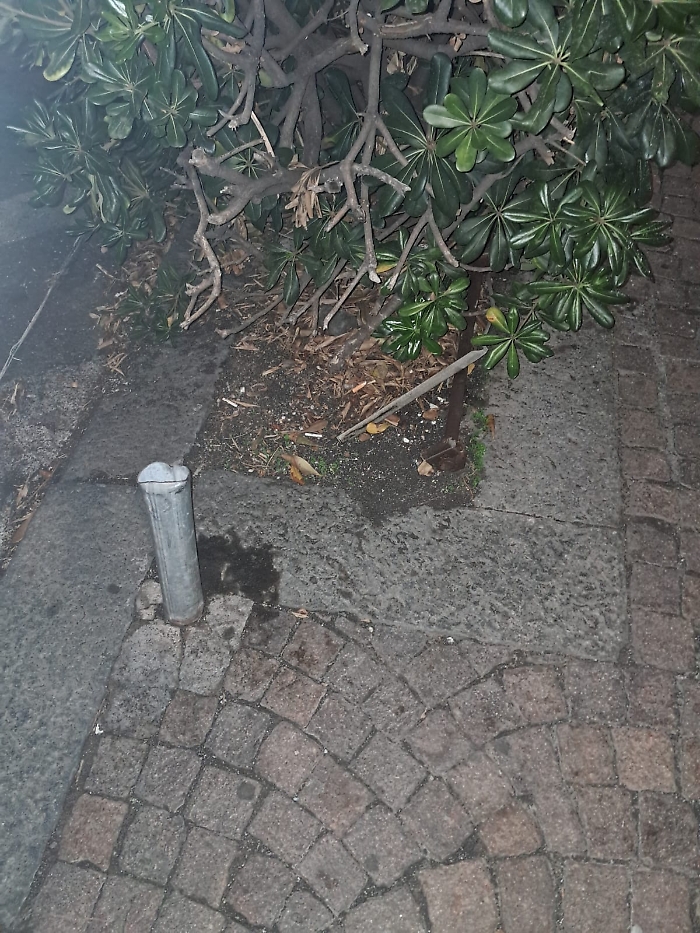 WhatsApp Image 2024-10-01 at 19.53.43 (2)