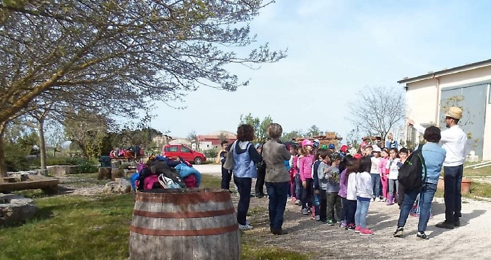 WhatsApp Image 2024-10-06 at 11.15.20 (5)