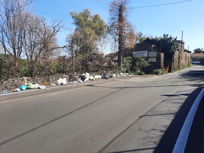 WhatsApp Image 2024-10-07 at 20.57.38