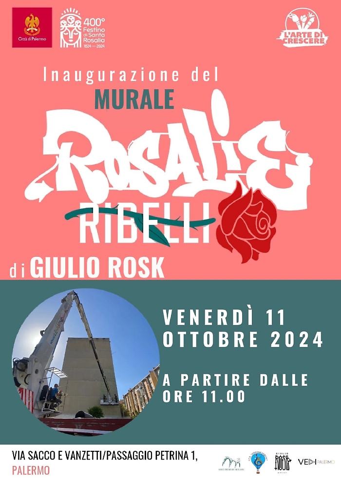 WhatsApp Image 2024-10-10 at 15.29.26