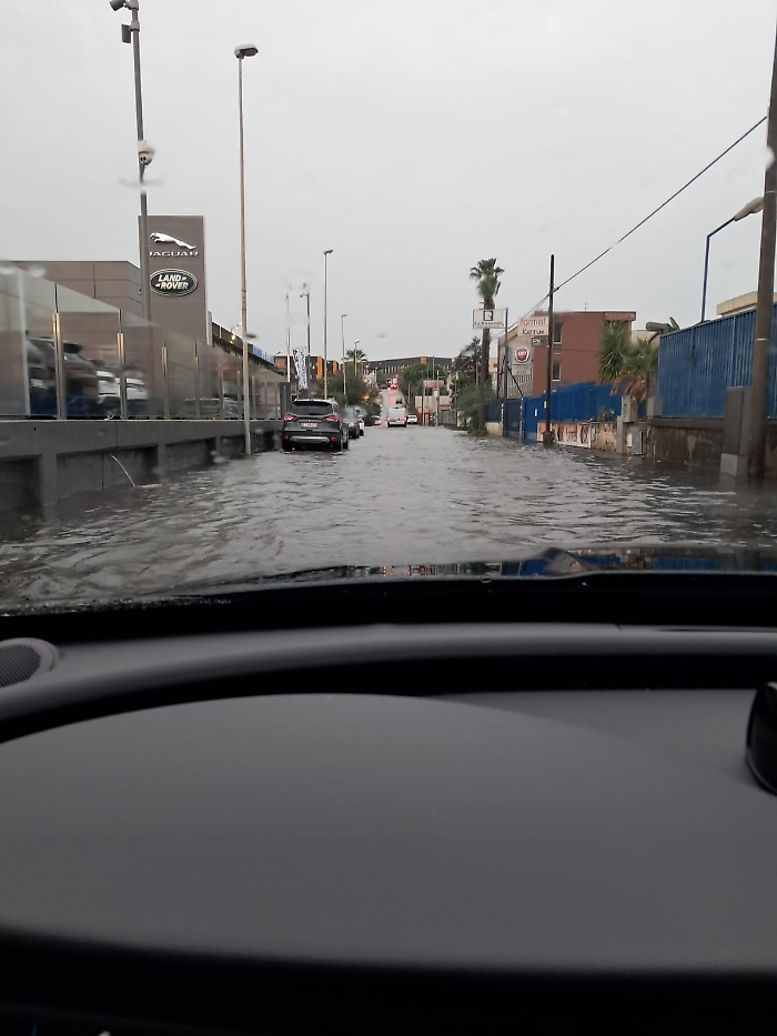 WhatsApp Image 2024-10-20 at 11.19.34