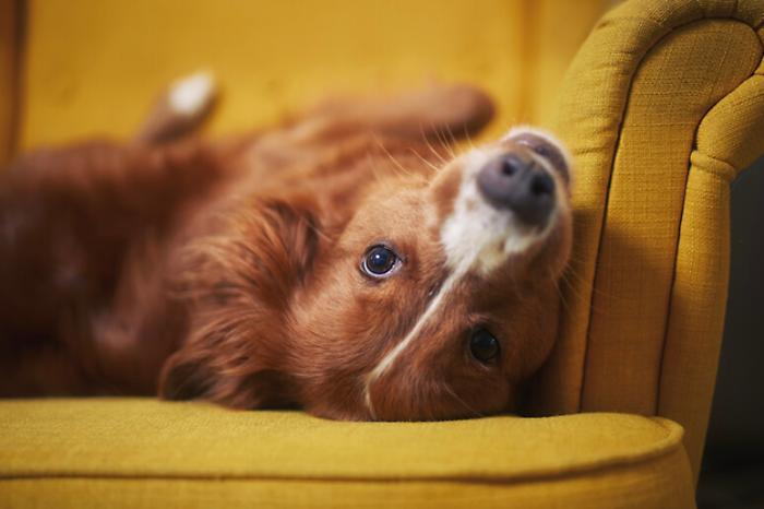 a78bd73d7fc5d121373d2d0bb1afefc4